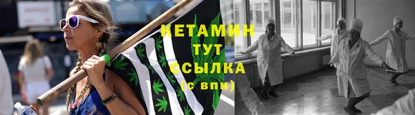 стаф Арсеньев