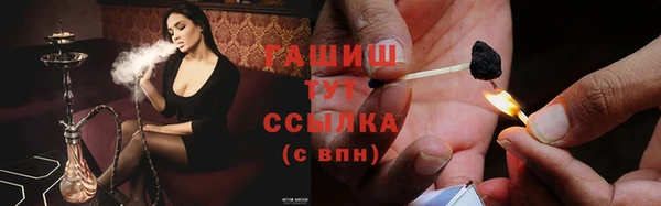 стаф Арсеньев