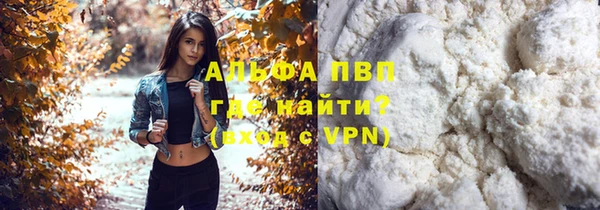 стаф Арсеньев