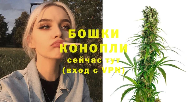 стаф Арсеньев