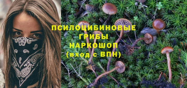 гашиш Аркадак
