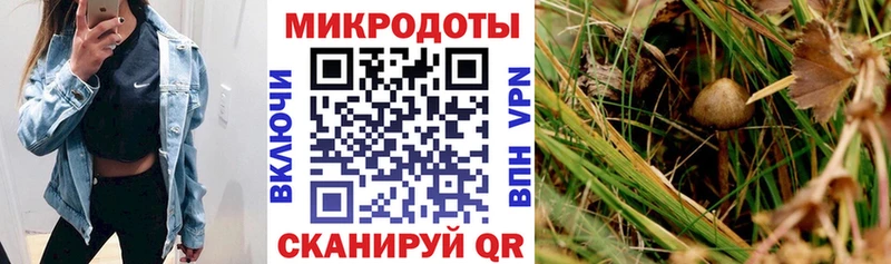 Псилоцибиновые грибы ЛСД  цена наркотик  Мантурово 